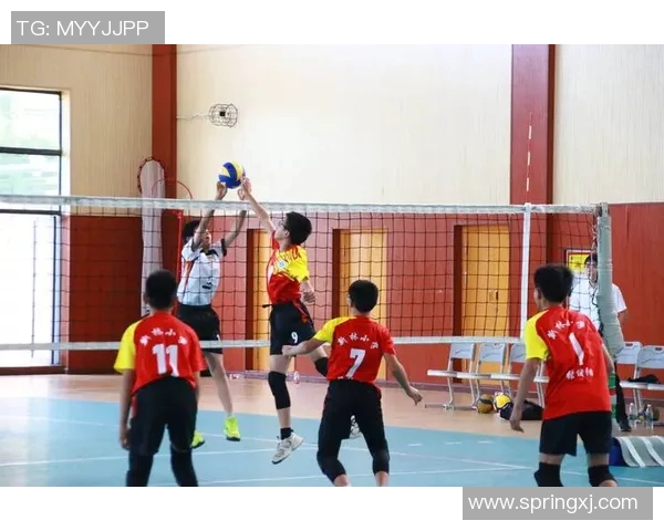 重庆排球队的精神探索与排球文化的深度解读