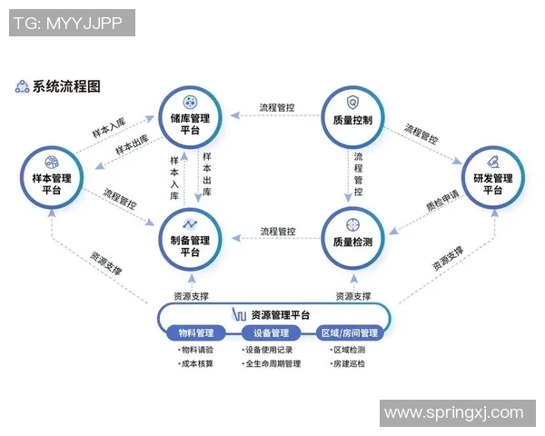 广州飞盘队的运营革新之路：探索新模式与发展策略的深度分析